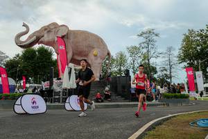 BIB: 
                            <button type="button" onclick="openModal(26528857)" class="btn btn-primary btn-sm float-right btn-popup" data-toggle="modal" data-target=".modal-high-quality">
                        <i class="fas fa-shopping-cart"></i> Add to Cart
                    </button>
                                            <button type="button" onclick="isThisMe(26528857, true)" class="btn btn-success btn-sm float-right btn-popup btn-isme hidden" data-toggle="tooltip" data-placement="bottom" title="นี่คือรูปของคุณใช่ไหม คลิกที่นี่เพื่อเอาเข้าอัลบั้ม">
                        <i class="fas fa-plus"></i> Add to album
                    </button>
                    <button type="button" onclick="isThisMe(26528857, false)" class="btn btn-warning btn-sm float-right btn-popup btn-isnotme hidden">
                        <i class="fas fa-ban"></i> Remove from album
                    </button>